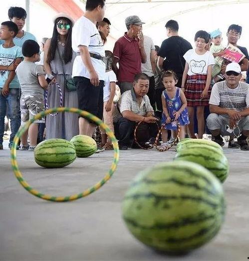 吃乐瓜队伍,欢乐美食之旅的精彩篇章