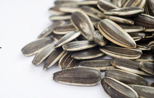 吃瓜葵花籽,葵花籽香飘四溢