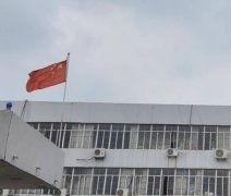 区委大院吃瓜,揭秘背后真相与反思”