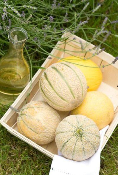 秋白瓜可以吃,美味与营养并存的夏日佳品