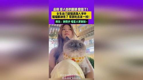 吃瓜猫猫光遇,揭秘神秘瓜界之谜
