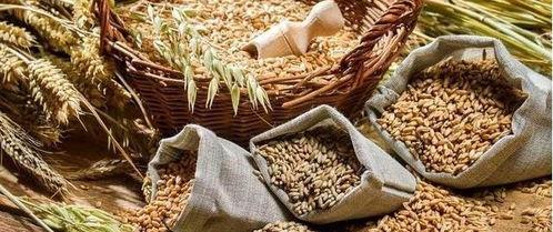 经期吃蒲瓜月经量大,调节月经量，呵护女性健康