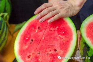 广西某大学吃瓜,揭秘背后的校园风云