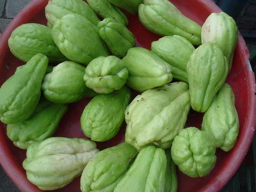 过年吃的那些瓜,盘点春节餐桌上的美味瓜果盛宴