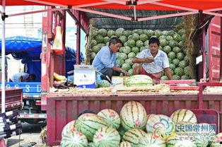 常州大学最新吃瓜,最新“吃瓜”事件揭秘