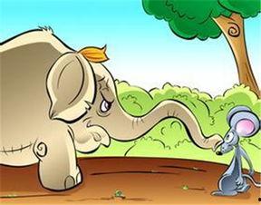 鼠偷瓜吃撑寡人,鼠偷瓜果引出的寡人生涯传奇